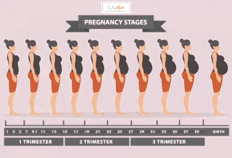 First Trimester (Weeks 1–12): Early Changes You Might Not Notice Oldham